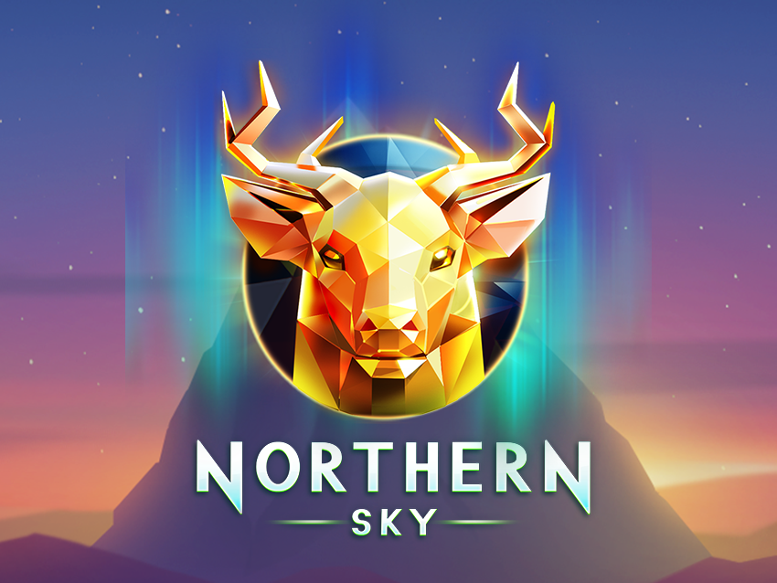 NorthernSky_Banner